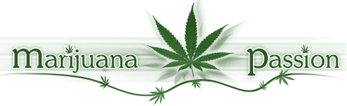 Marijuana Growing & Cannabis Forum